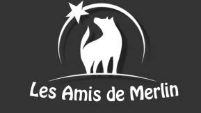 Logo-Partenaires-Les-Amis-de-Merlin