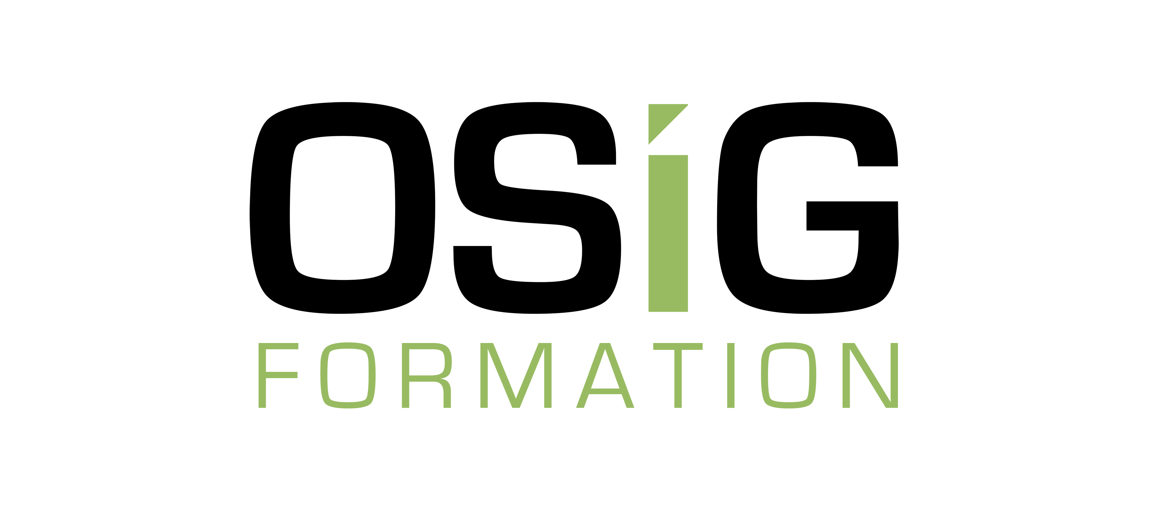 Logo-OSIG-FORMATION